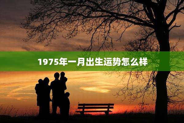 1975年一月出生运势怎么样