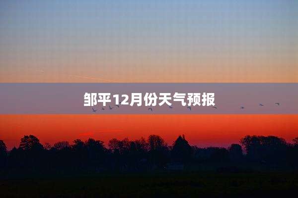 邹平12月份天气预报