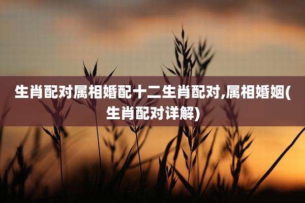 生肖配对属相婚配十二生肖配对,属相婚姻(生肖配对详解)