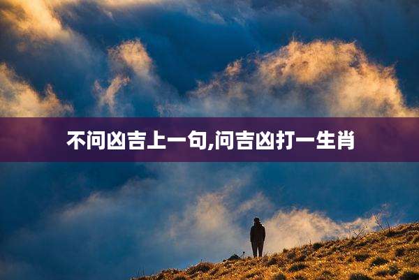 不问凶吉上一句,问吉凶打一生肖