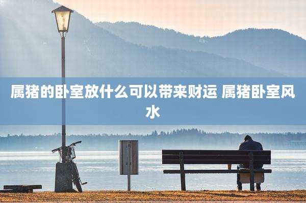 属猪的卧室放什么可以带来财运 属猪卧室风水
