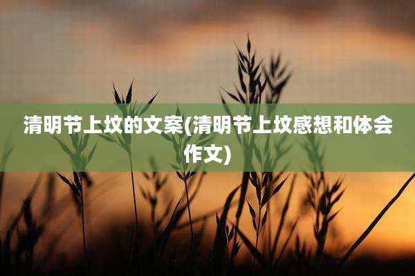 清明节上坟的文案(清明节上坟感想和体会作文)