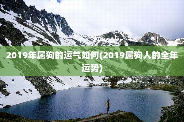 2019年属狗的运气如何(2019属狗人的全年运势)
