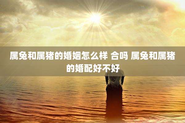 属兔和属猪的婚姻怎么样 合吗 属兔和属猪的婚配好不好
