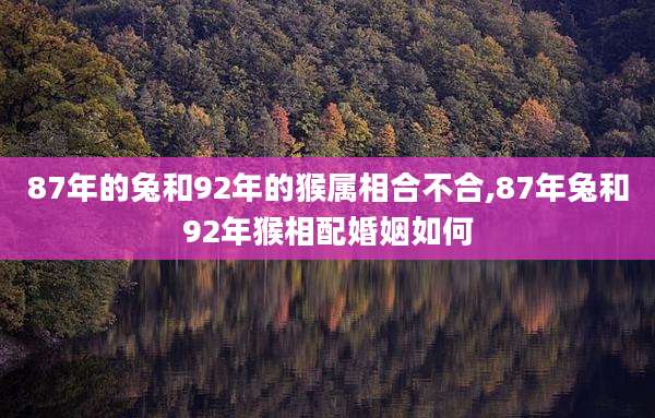 87年的兔和92年的猴属相合不合,87年兔和92年猴相配婚姻如何
