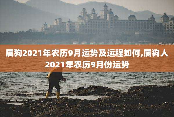 属狗2021年农历9月运势及运程如何,属狗人2021年农历9月份运势