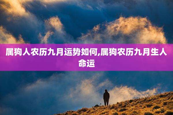 属狗人农历九月运势如何,属狗农历九月生人命运