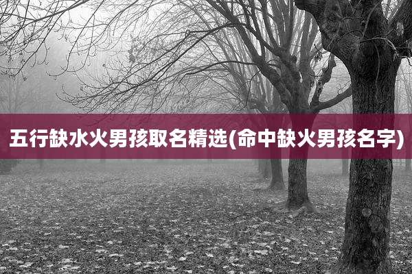 五行缺水火男孩取名精选(命中缺火男孩名字)