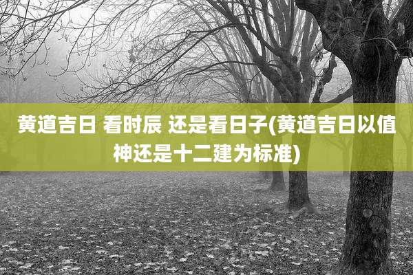 黄道吉日 看时辰 还是看日子(黄道吉日以值神还是十二建为标准)