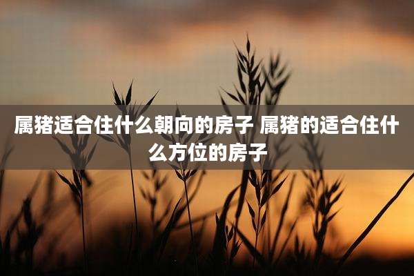 属猪适合住什么朝向的房子 属猪的适合住什么方位的房子
