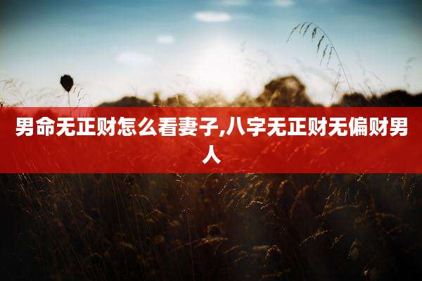 男命无正财怎么看妻子,八字无正财无偏财男人