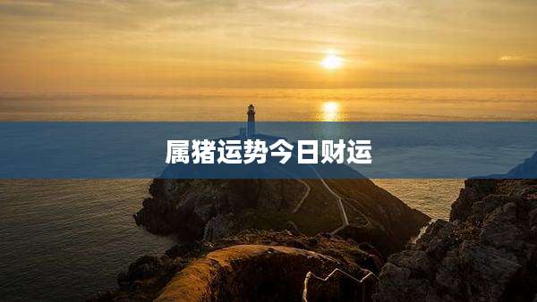 属猪运势今日财运