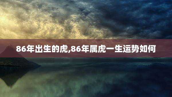 86年出生的虎,86年属虎一生运势如何