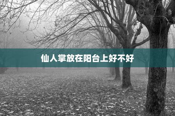 仙人掌放在阳台上好不好
