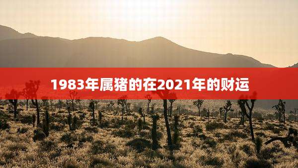 1983年属猪的在2021年的财运