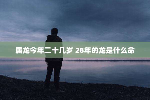 属龙今年二十几岁 28年的龙是什么命