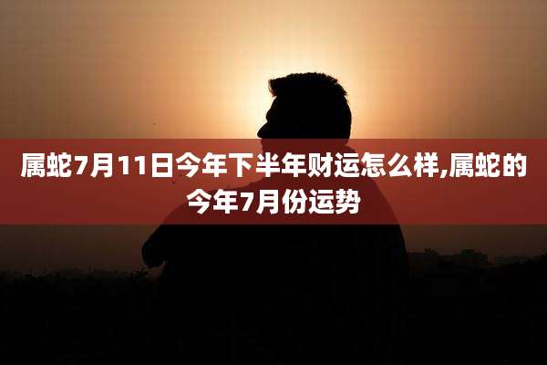 属蛇7月11日今年下半年财运怎么样,属蛇的今年7月份运势