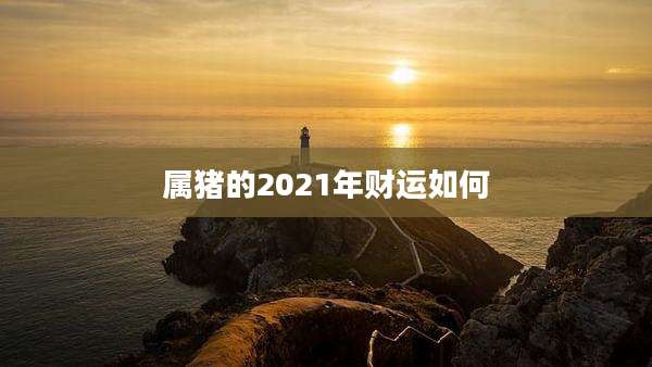 属猪的2021年财运如何