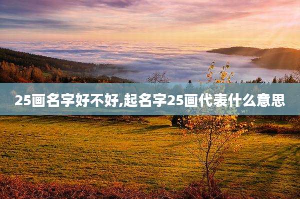 25画名字好不好,起名字25画代表什么意思