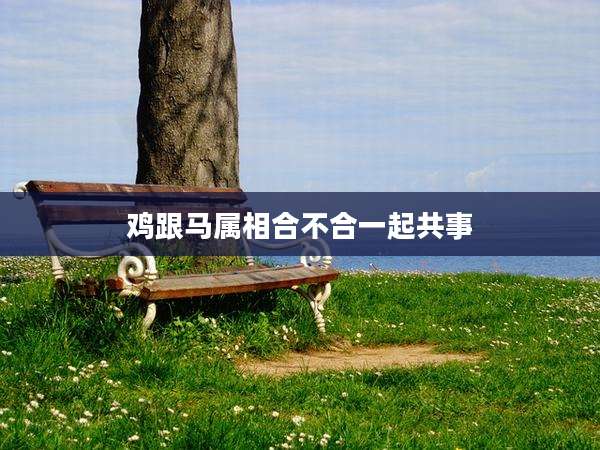 鸡跟马属相合不合一起共事