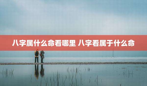 八字属什么命看哪里 八字看属于什么命