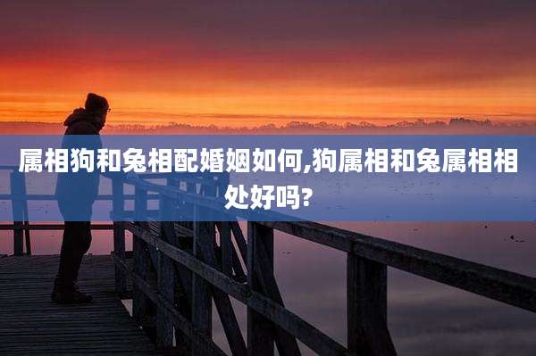 属相狗和兔相配婚姻如何,狗属相和兔属相相处好吗?