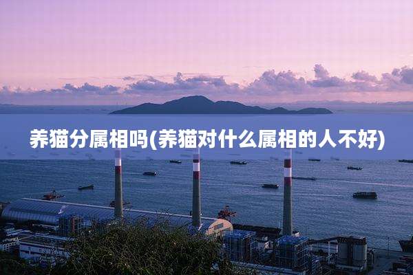 养猫分属相吗(养猫对什么属相的人不好)