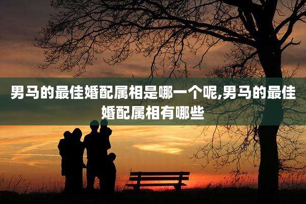 男马的最佳婚配属相是哪一个呢,男马的最佳婚配属相有哪些