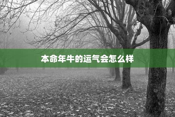本命年牛的运气会怎么样