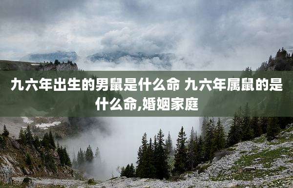 九六年出生的男鼠是什么命 九六年属鼠的是什么命,婚姻家庭