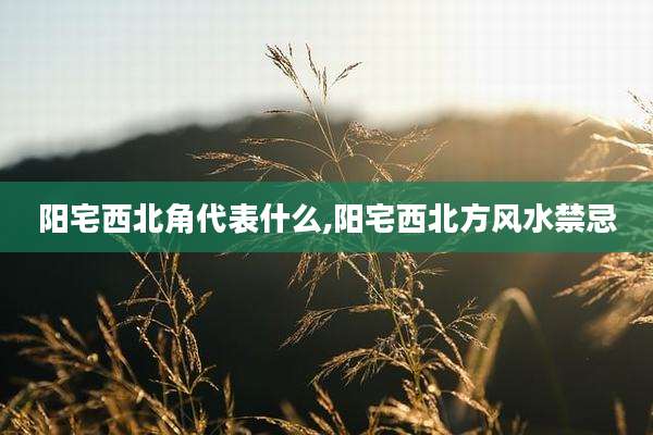 阳宅西北角代表什么,阳宅西北方风水禁忌