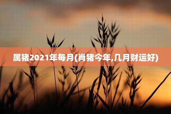 属猪2021年每月(肖猪今年,几月财运好)