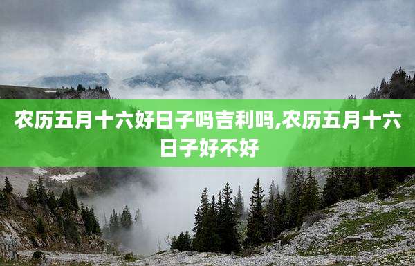 农历五月十六好日子吗吉利吗,农历五月十六日子好不好