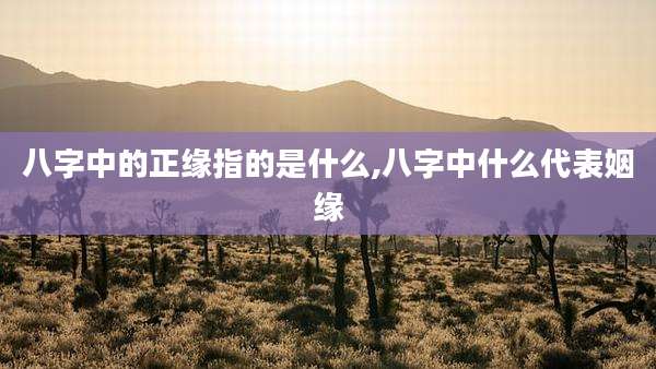 八字中的正缘指的是什么,八字中什么代表姻缘
