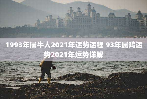 1993年属牛人2021年运势运程 93年属鸡运势2021年运势详解