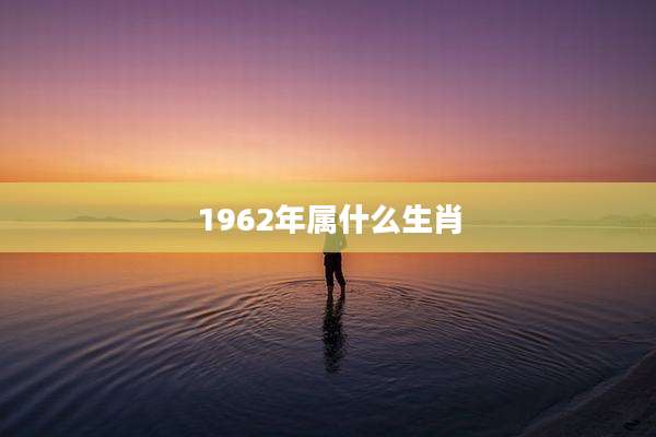 1962年属什么生肖
