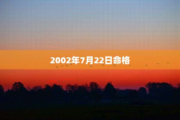 2002年7月22日命格