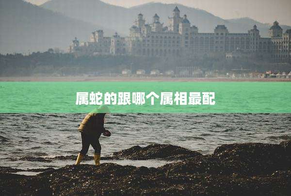 属蛇的跟哪个属相最配