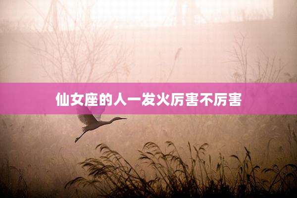 仙女座的人一发火厉害不厉害