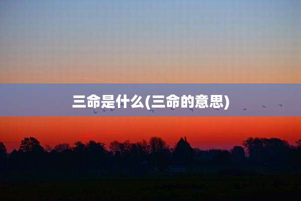 三命是什么(三命的意思)