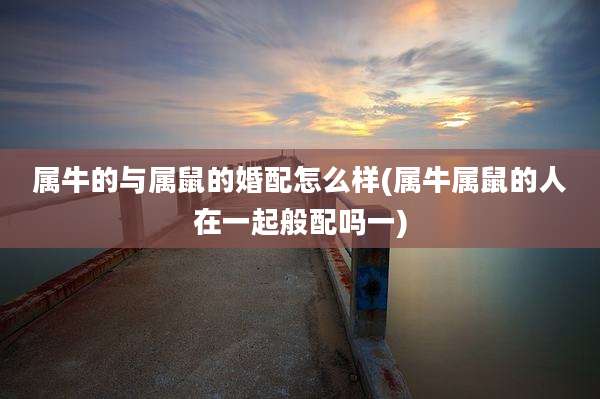 属牛的与属鼠的婚配怎么样(属牛属鼠的人在一起般配吗一)