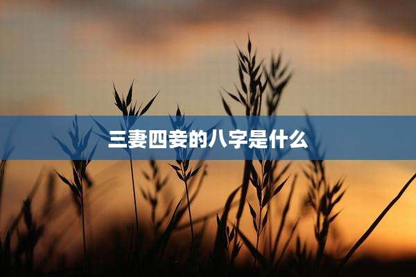 三妻四妾的八字是什么