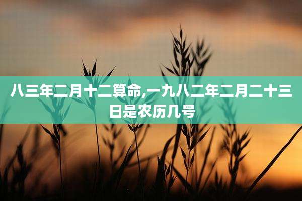 八三年二月十二算命,一九八二年二月二十三日是农历几号