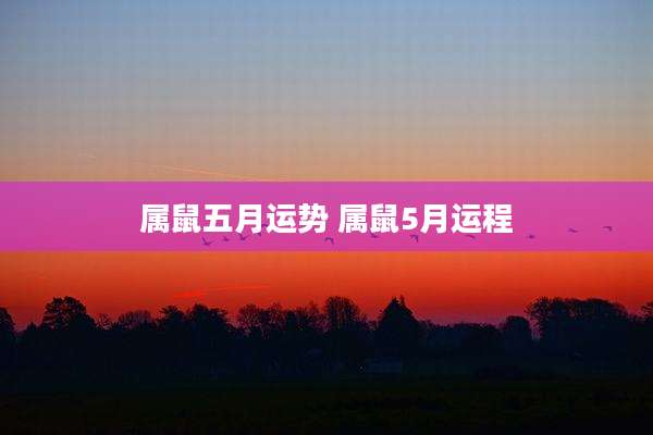 属鼠五月运势 属鼠5月运程