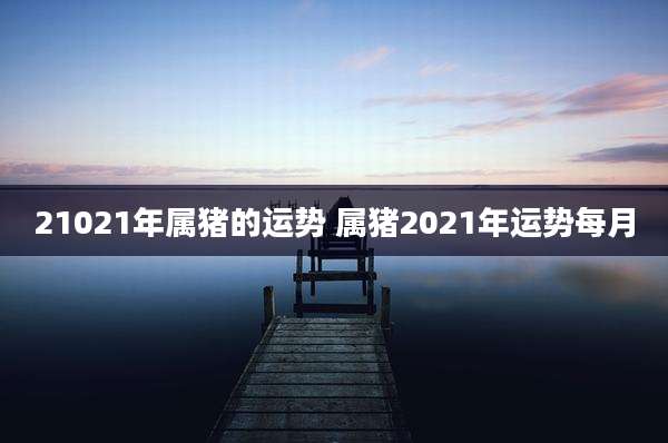21021年属猪的运势 属猪2021年运势每月