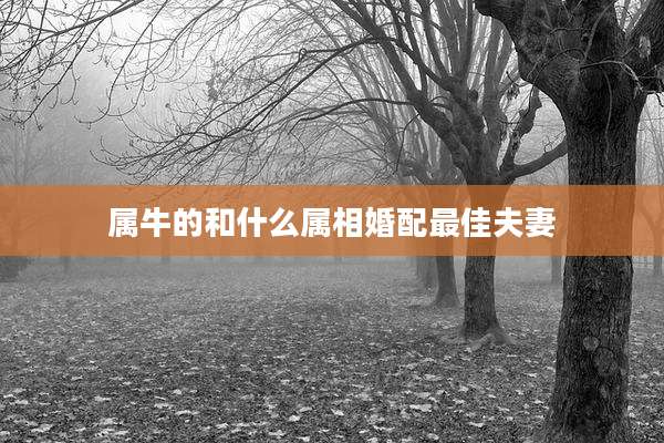 属牛的和什么属相婚配最佳夫妻