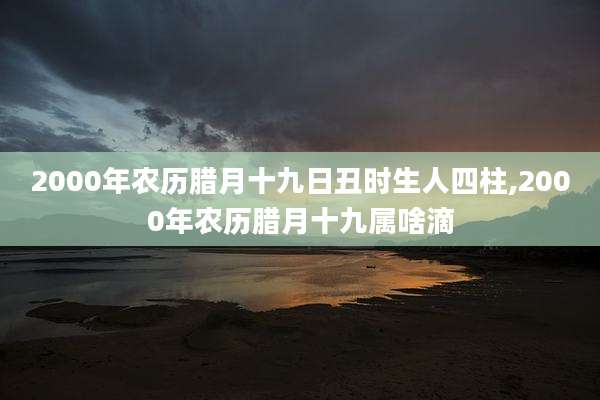 2000年农历腊月十九日丑时生人四柱,2000年农历腊月十九属啥滴