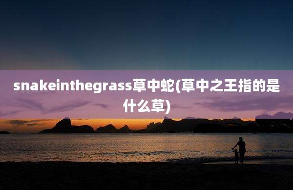 snakeinthegrass草中蛇(草中之王指的是什么草)