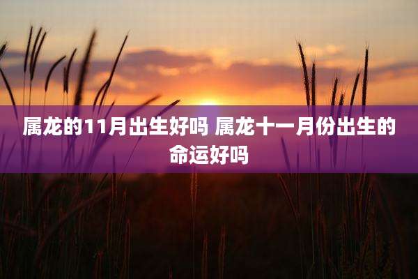 属龙的11月出生好吗 属龙十一月份出生的命运好吗