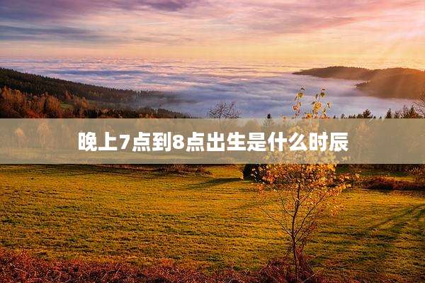 晚上7点到8点出生是什么时辰